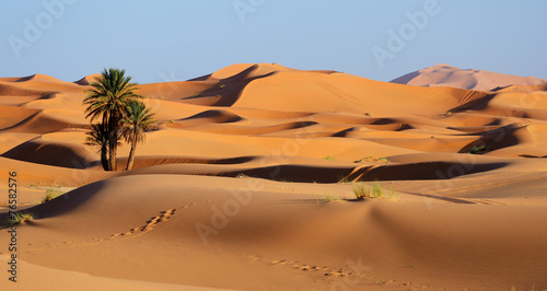 Plakat pustynia natura egipt spokojny wzgórze