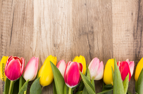 Naklejka miłość kwiat serce natura tulipan
