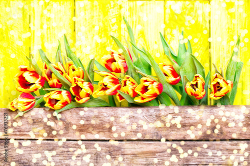 Fotoroleta dzieci tulipan natura wschód ogród