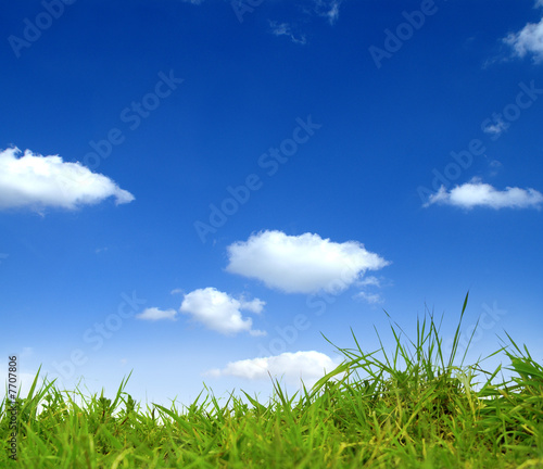 Obraz na płótnie lato niebo natura trawa