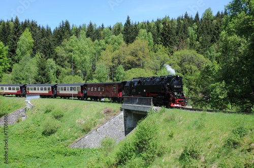 Fotoroleta lokomotywa lokomotywa parowa drzewa most jesień