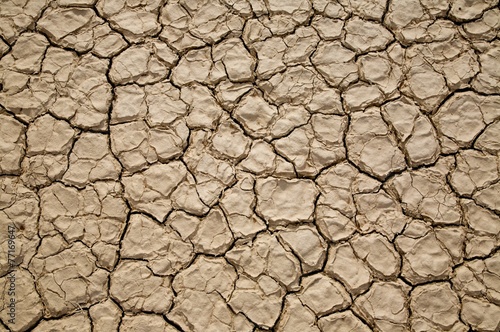 Naklejka pustynia tło suchy teren duchota