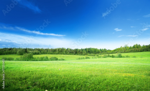 Fototapeta niebo pejzaż pastwisko wzgórze wieś