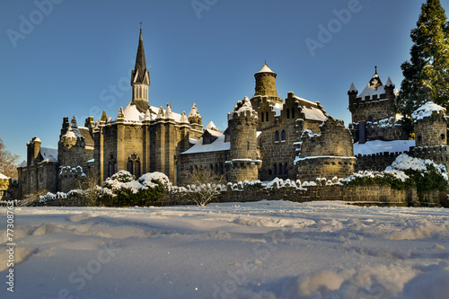 Obraz na płótnie wieża śnieg zamek park średniowiecze