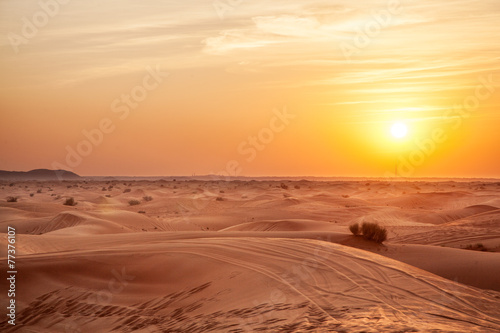 Naklejka natura safari pustynia wzór wydma