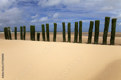Fotoroleta plaża trawa północ wydma krajobraz
