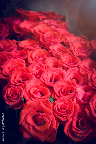 Plakat świeży kwiat piękny miłość bukiet