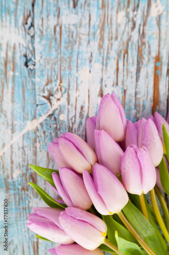 Naklejka piękny szczyt natura tulipan