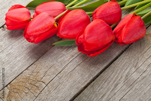 Fotoroleta kwiat miłość tulipan piękny