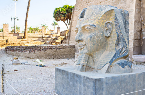 Fototapeta egipt statua droga drzewa