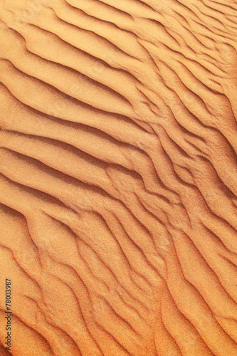 Plakat wzór safari wydma pustynia pejzaż