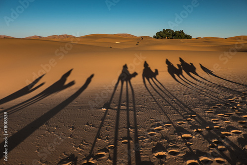 Fototapeta pustynia cieniu maroko sahara