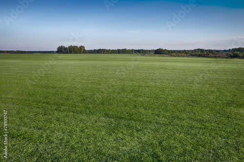 Fotoroleta rolnictwo pole łąka