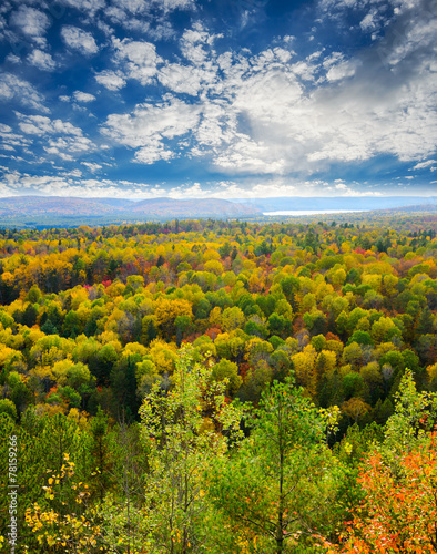 Fototapeta perspektywa pejzaż jesień piękny