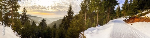 Naklejka śnieg panorama krajobraz turyngia biegi narciarskie