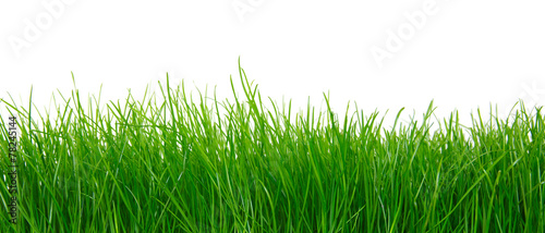 Obraz na płótnie panorama pole panoramiczny trawa