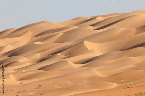 Plakat wydma natura arabian spokojny
