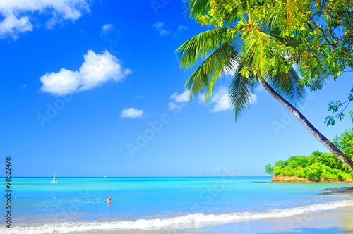 Plakat egzotyczny bahamy karaiby