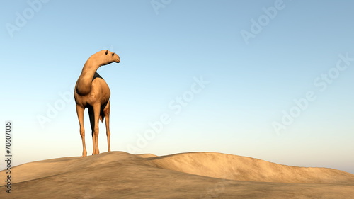 Plakat pustynia niebo 3D afryka wydma