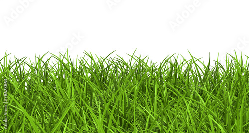 Obraz na płótnie 3D panorama wieś trawa
