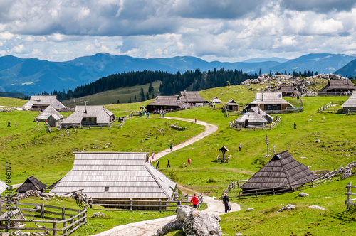 Fototapeta narodowy krowa słowenia