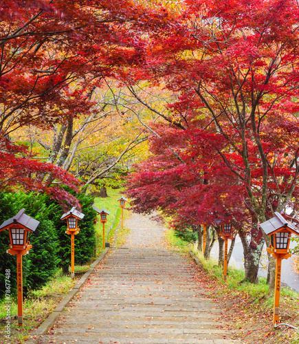 Fotoroleta jesień natura świątynia piękny
