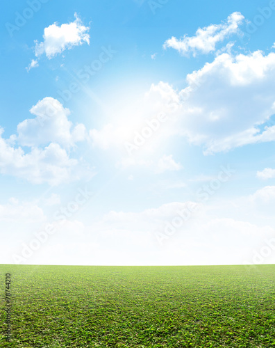 Fotoroleta niebo łąka trawa