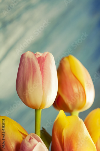 Fotoroleta bukiet kwiat świeży