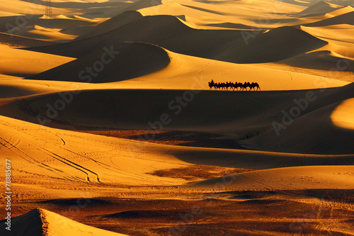 Fototapeta lato chiny arabian pustynia arabski