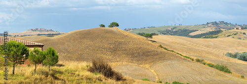 Obraz na płótnie wieś pole łąka