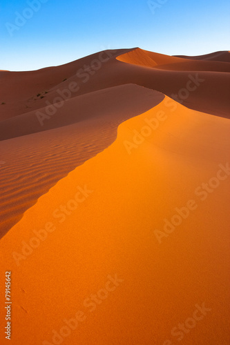Fototapeta spokojny pejzaż wzór pustynia bezdroża