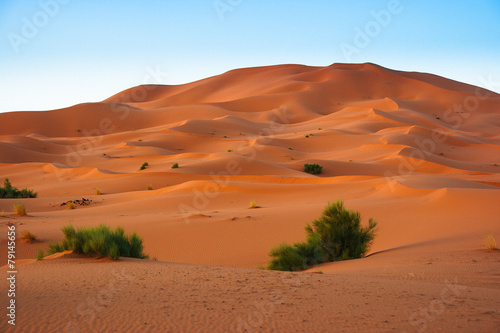 Fotoroleta natura spokojny pustynia