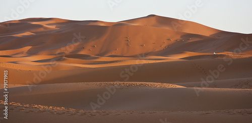 Fotoroleta afryka wydma krajobraz dziki pustynia