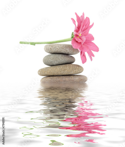 Naklejka Widok zen, kamienie i kwiat