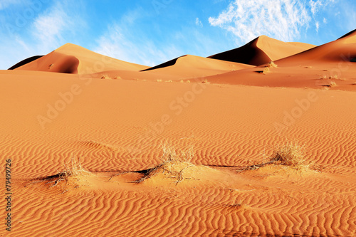 Fotoroleta wydma afryka pustynia