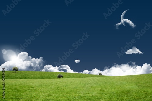 Fototapeta trawa niebo krajobraz łąka pole