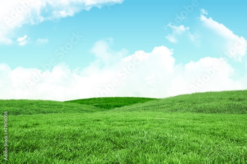 Fotoroleta krajobraz pole trawa łąka wieś