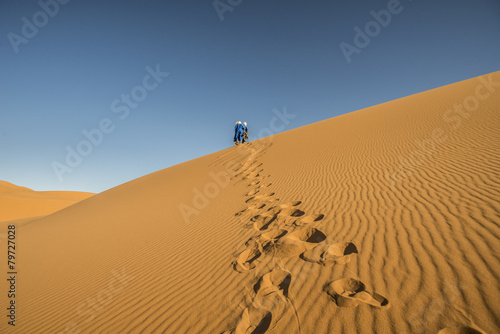 Plakat pustynia dromader wielbłąd