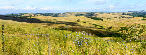 Fototapeta rolnictwo wiejski łąka toskania niebo