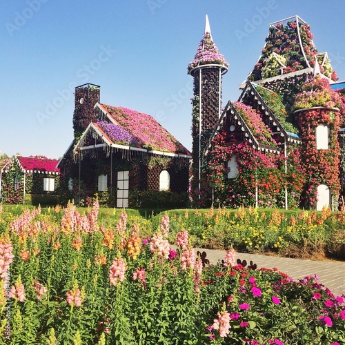 Fototapeta ogród kwiat dubaj dom