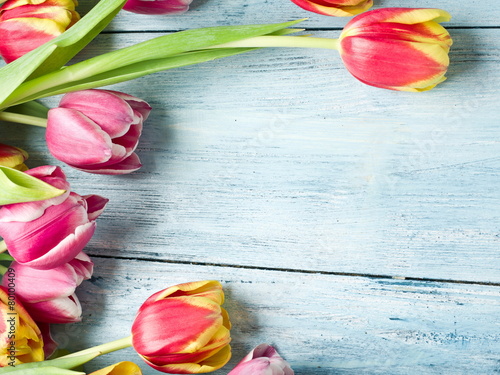 Naklejka natura vintage kwiat tulipan