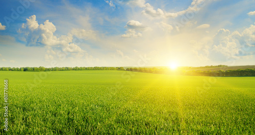 Obraz na płótnie wieś lato trawa wiejski łąka