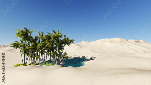 Obraz na płótnie afryka krzew pejzaż palma trawa