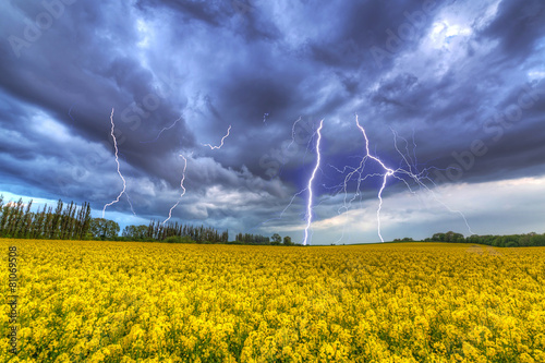 Fototapeta natura łąka pole niebo sztorm
