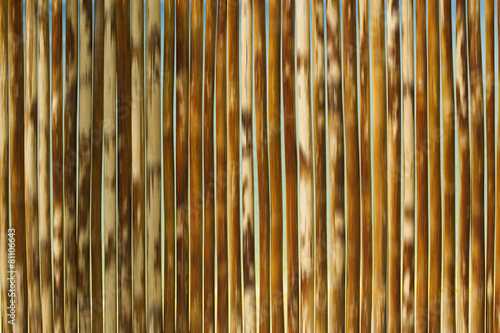 Fotoroleta bambus zen azjatycki orientalne gałązka