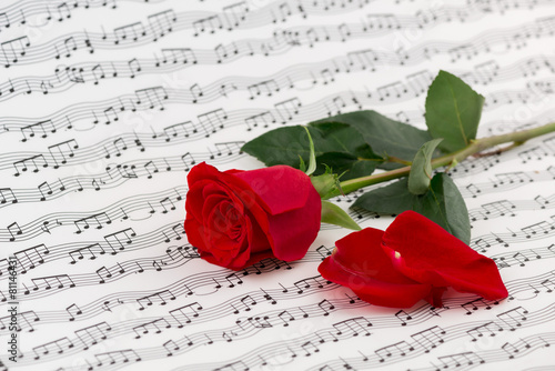 Naklejka muzyka sztuka piękny miłość