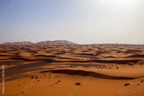 Naklejka afryka pustynia wydma