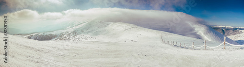 Naklejka drzewa śnieg panoramiczny lód szczyt