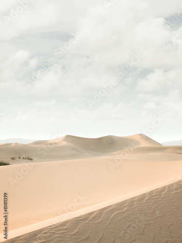 Plakat pejzaż pustynia wzgórze lato