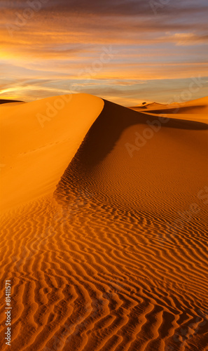 Plakat arabian safari wzgórze wydma pustynia